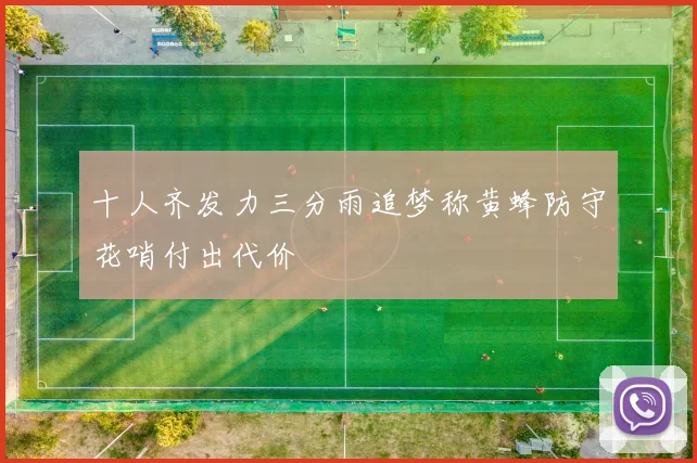 十人齐发力三分雨追梦称黄蜂防守花哨付出代价